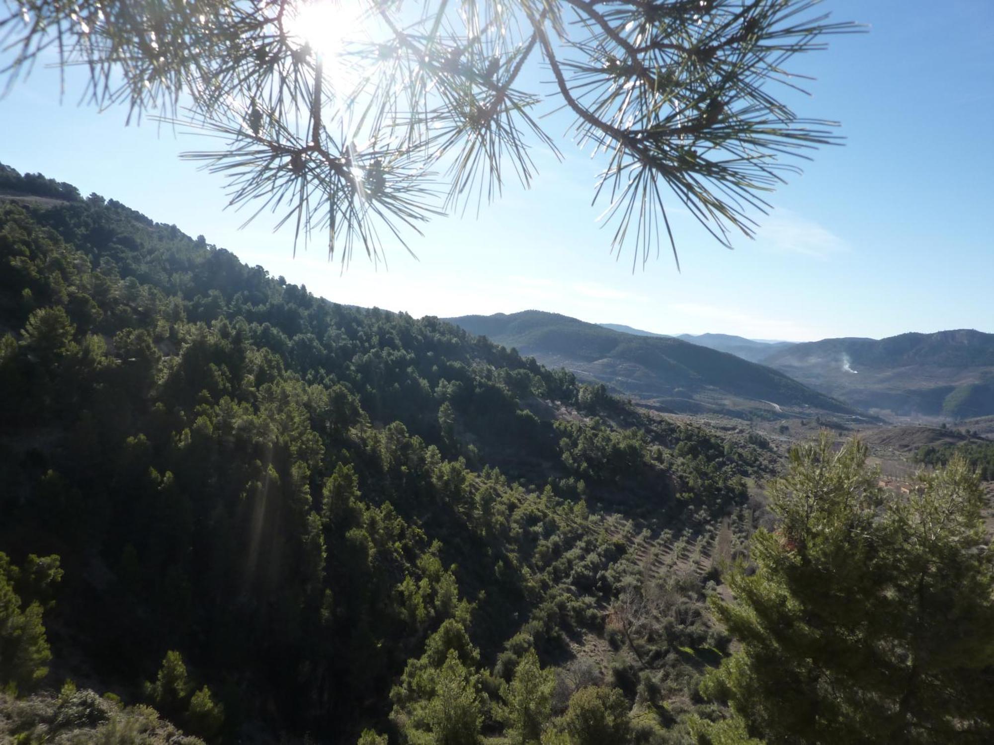 Hotel Vegasierra Bogarra Dış mekan fotoğraf