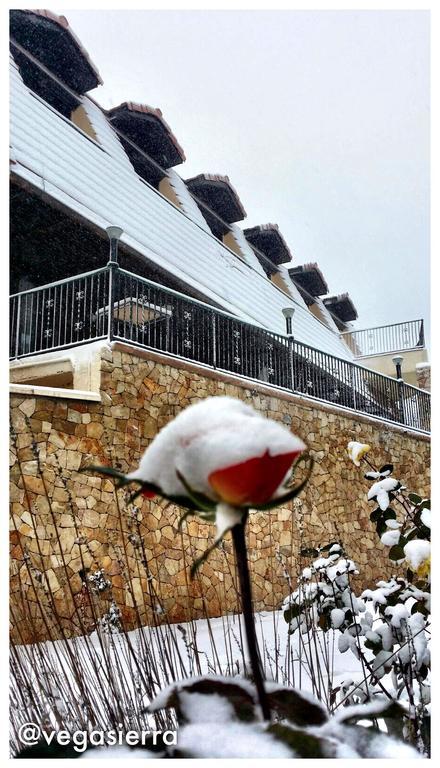 Hotel Vegasierra Bogarra Dış mekan fotoğraf
