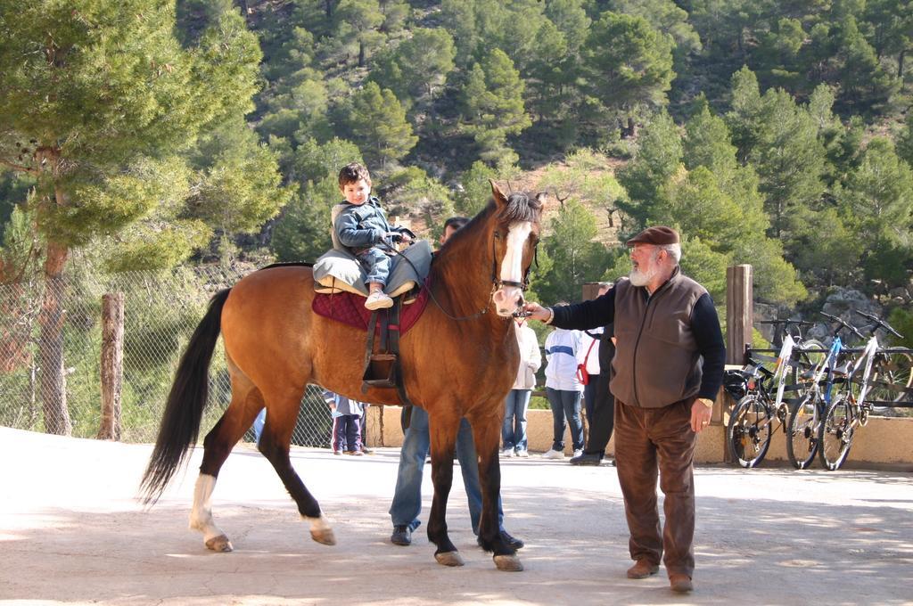 Hotel Vegasierra Bogarra Dış mekan fotoğraf
